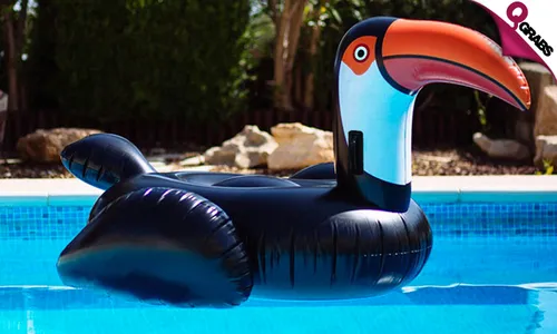 Inflatable Toucan Pool Floats!